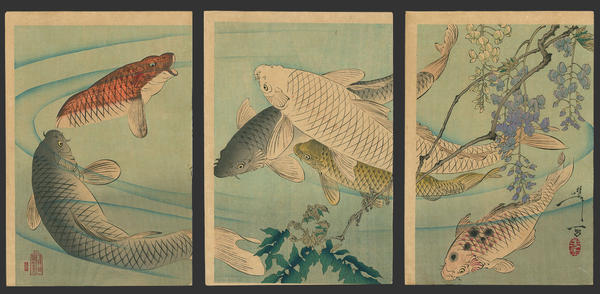 Untitled- Koi swimming beneath wisteria
