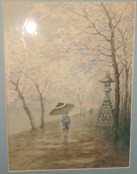 Riverside walkway in sping rain