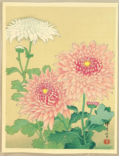 Chrysanthemums