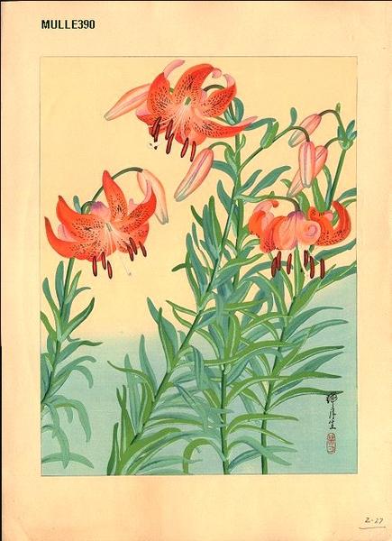Tiger lilies
