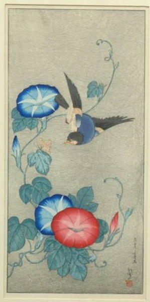 Morning Glory and 100-Song-Birds