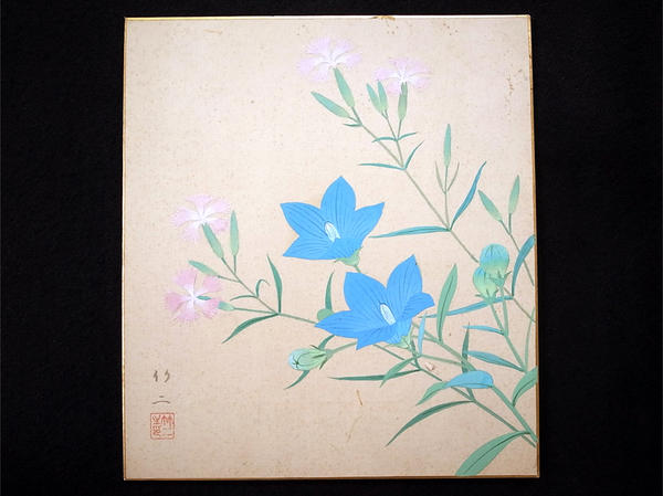 Pink and Blue Flowers