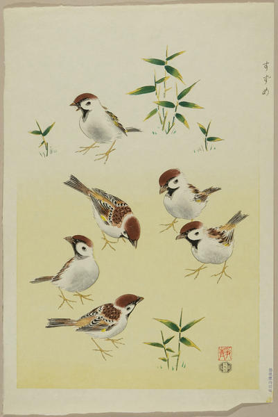 Sparrow