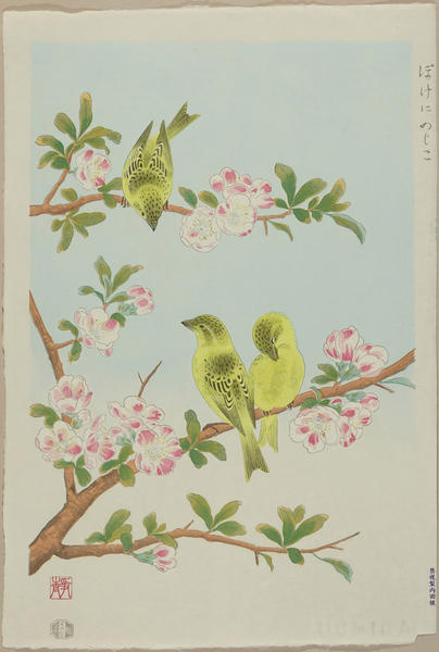 Yellow bunting and heath rose