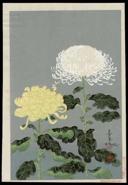 Chrysanthemums- Type 1- Variant 3