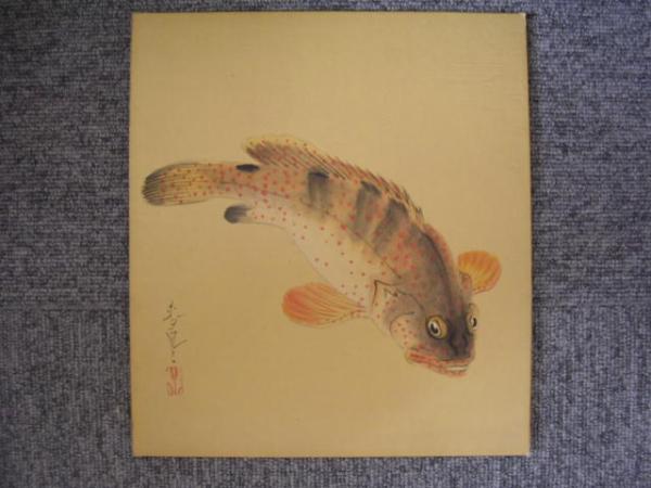 Spotted Fish