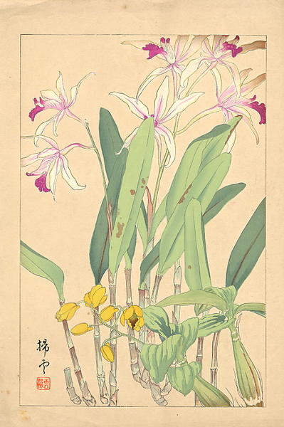 Flowers of Japan 1