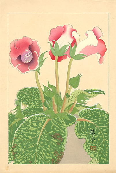 Flowers of Japan 3