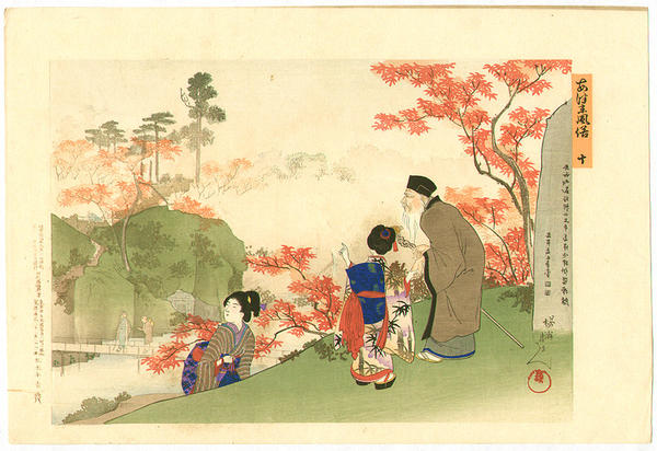 Red Maple Viewing
