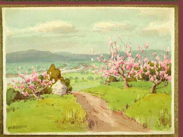Hilltop Cherry Trees in Spring