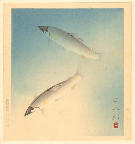Salmon