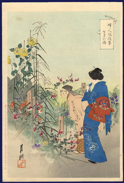 Seven flowers and plants of autumn