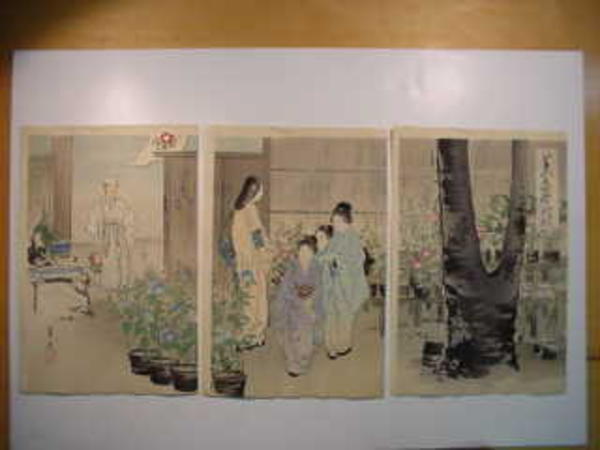 MORNING GLORIES AT IRIYA, TOKYO