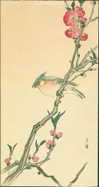 Blue Bird on Plum Branch