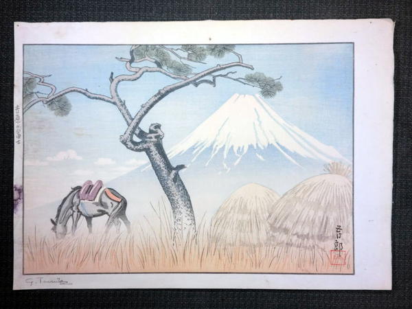 Fuji from Yoshihara
