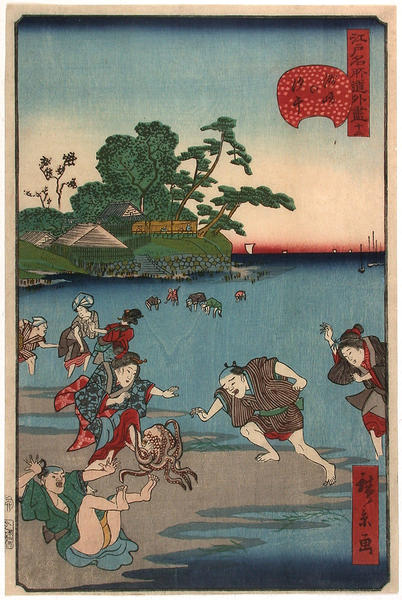 Shell gathering at Susuki