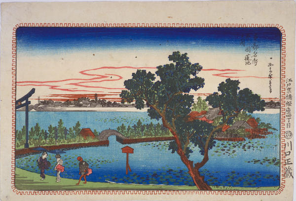 Lotus Pond at Shinobugaoka