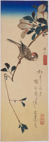 Magnolia and Java Sparrow