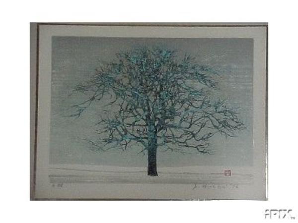 Unknown, leafless tree