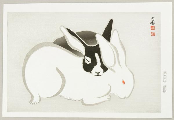 Rabbits