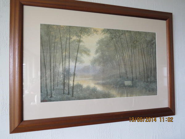 Bamboo Forest by Stream
