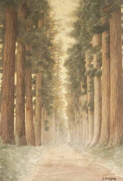 Road Bordered by Coast Redwoods