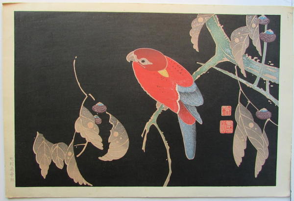 Red Parrot on a Branch