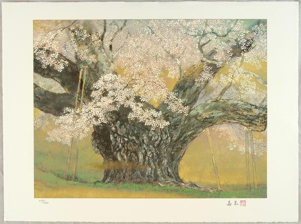 Usuzumi Cherry