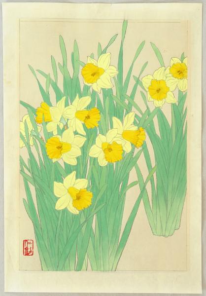 Daffodils