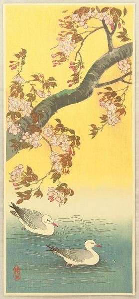 Two Gulls and Cherry Tree