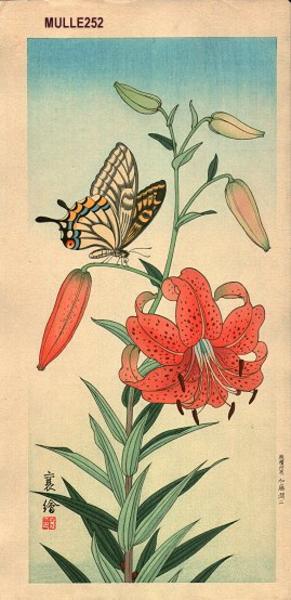 Butterfly and Tiger Lily