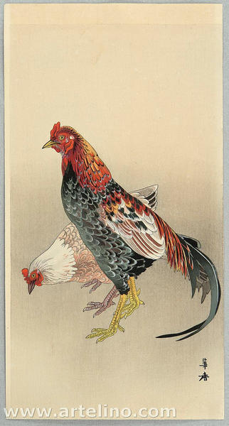Fighting Rooster and Hen
