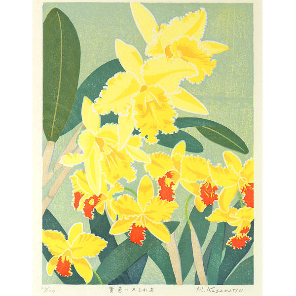 Yello Cattleya