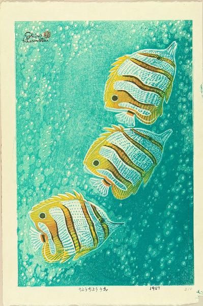 Angel fish