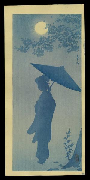 Beauty with Umbrella in the Moonlight