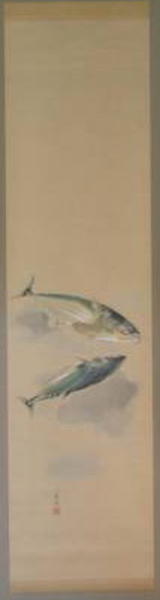 Bonito Tuna