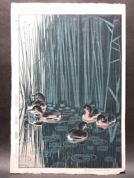Grebe (Water fowl)