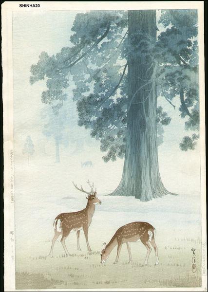 Morning Mist at Nara Park