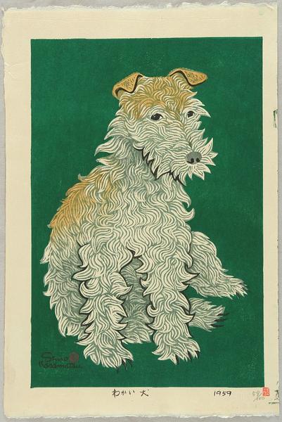 Young Dog