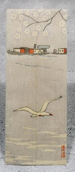 Sumida River