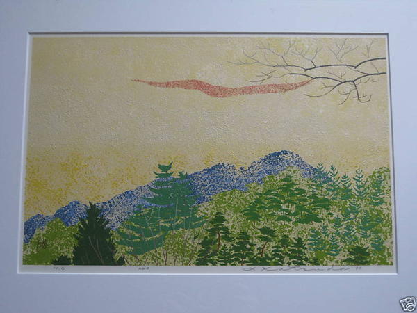 No 240- Unknown- Forest