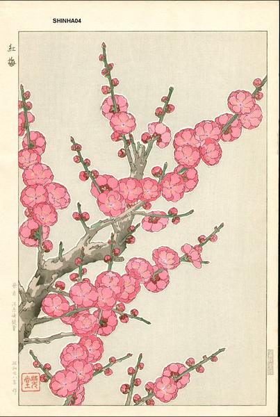 Crimson Plum