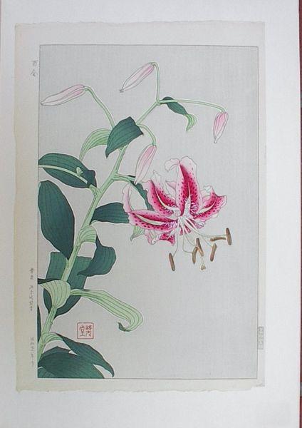 Flowers 8