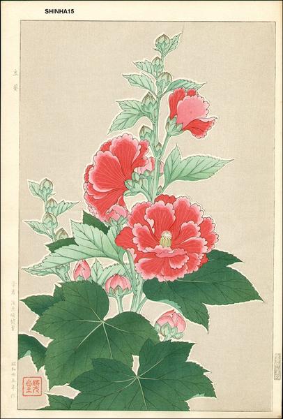 Hollyhock- Tachiaoi