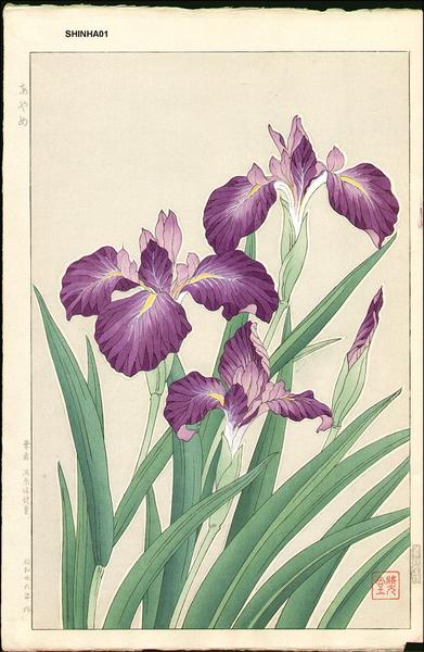 Iris