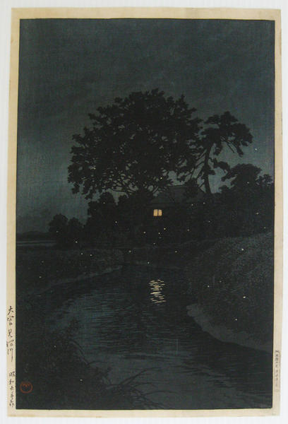 Fireflies at Minuma, Omiya