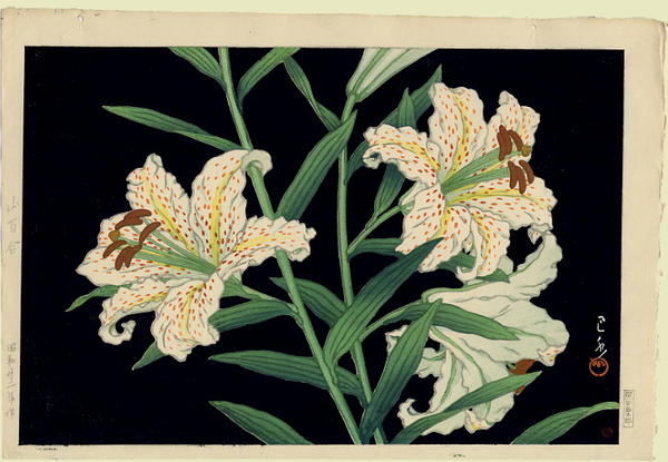 Lilies against a deep black background