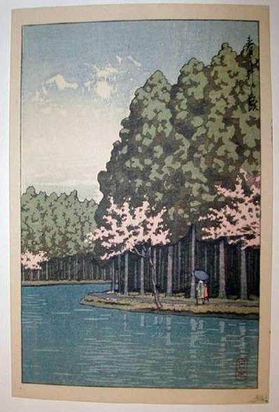 River and Cherry Blossoms