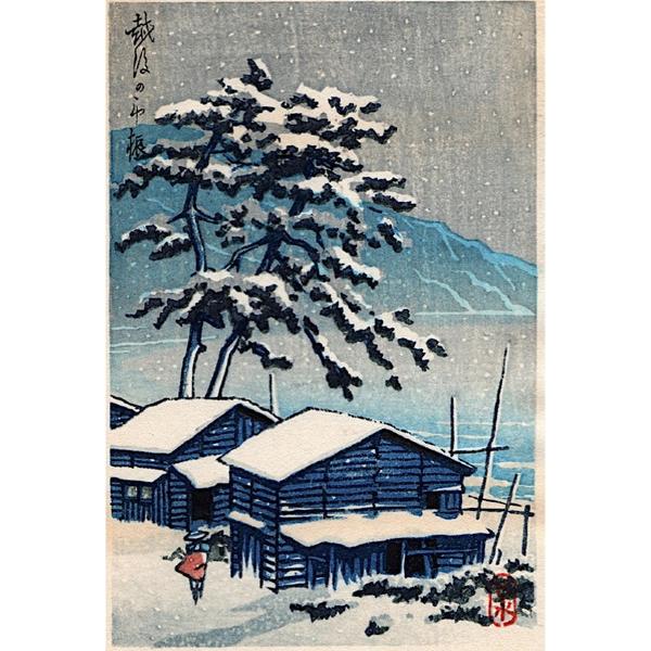 Unknown- village in winter