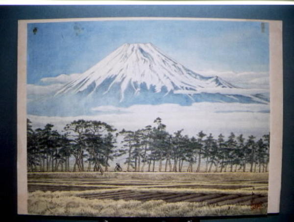 Cyclist by Mt. Fuji